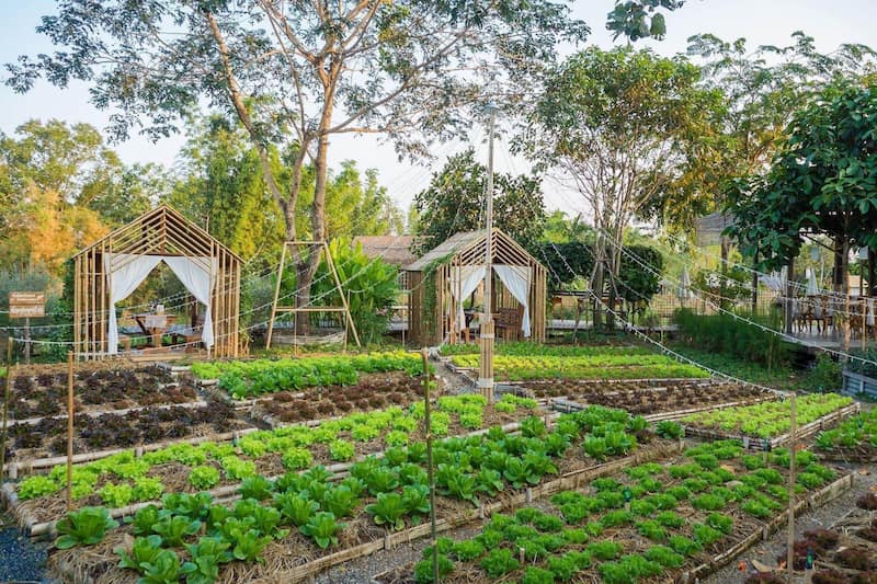 1679640759075-những mô hình farm stay phổ biến